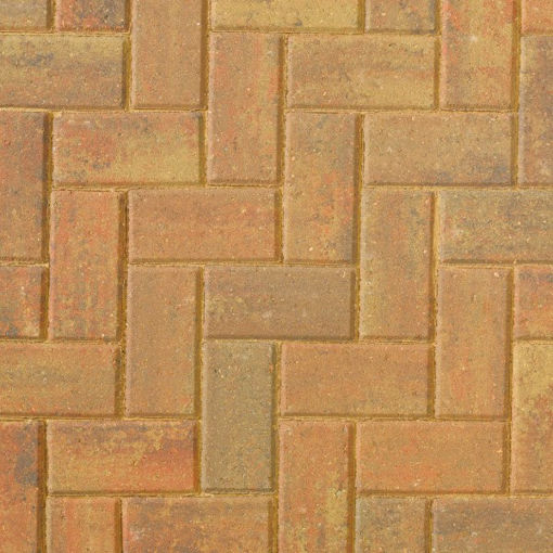 Picture of Autumn Gold Omega 60mm block pavior