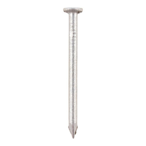 Picture of TIMCO Round Wire Nails Galvanised - 150 x 6.00 (1kg TIMbag)