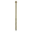 Picture of TIMCO 6.7 x 100 Timber Screws Hex Flange Head Exterior Green (TIMbag of 50)