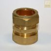 Picture of Compression Coupling Straight 10MM